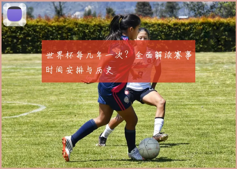 世界杯每几年一次？全面解读赛事时间安排与历史