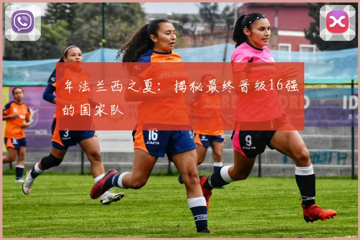 年法兰西之夏：揭秘最终晋级16强的国家队