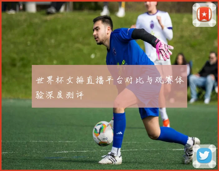 世界杯女排直播平台对比与观赛体验深度测评